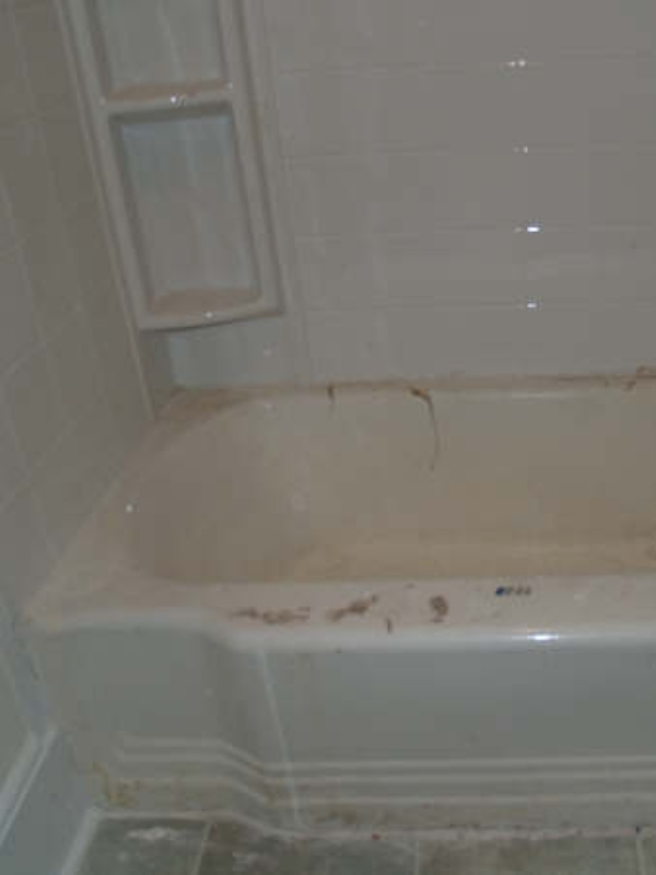 Bathtub/Shower Refinishinging Sacramento